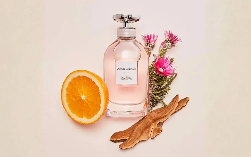 Review 10 Nước Hoa Coach Hot, Đang Bán Chạy Hiện Nay - 7