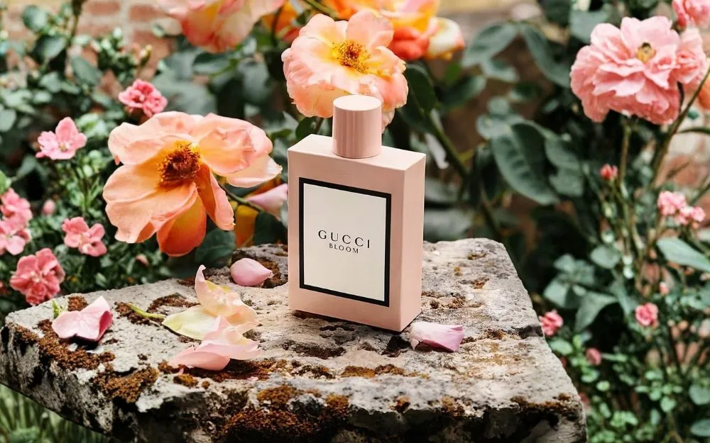 Review 6 Chai Nước Hoa Gucci Bloom Bán Chạy, Nổi Tiếng Hiện Nay - 3