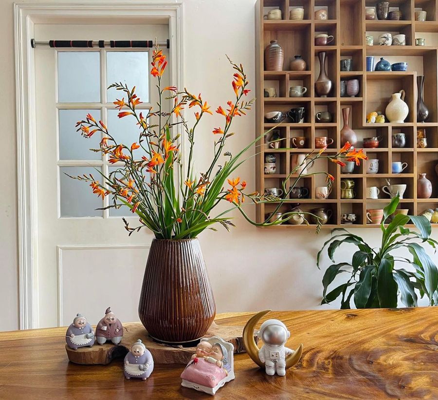 Đồ gia dụng nhỏ gọn, tiện ích