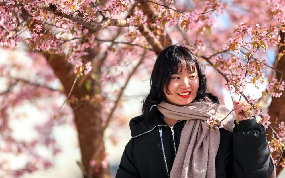 11 Cách Tạo Dáng Chụp Ảnh Với Hoa Đào Cực Dễ, Ai Cũng Làm Được - 6