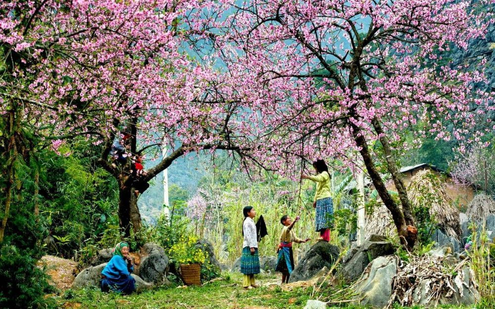 Đi Sapa Mặc Gì Chụp Ảnh Đẹp? 15+ Gợi Ý Hữu Ích Phối Đồ Đi Sapa - 17