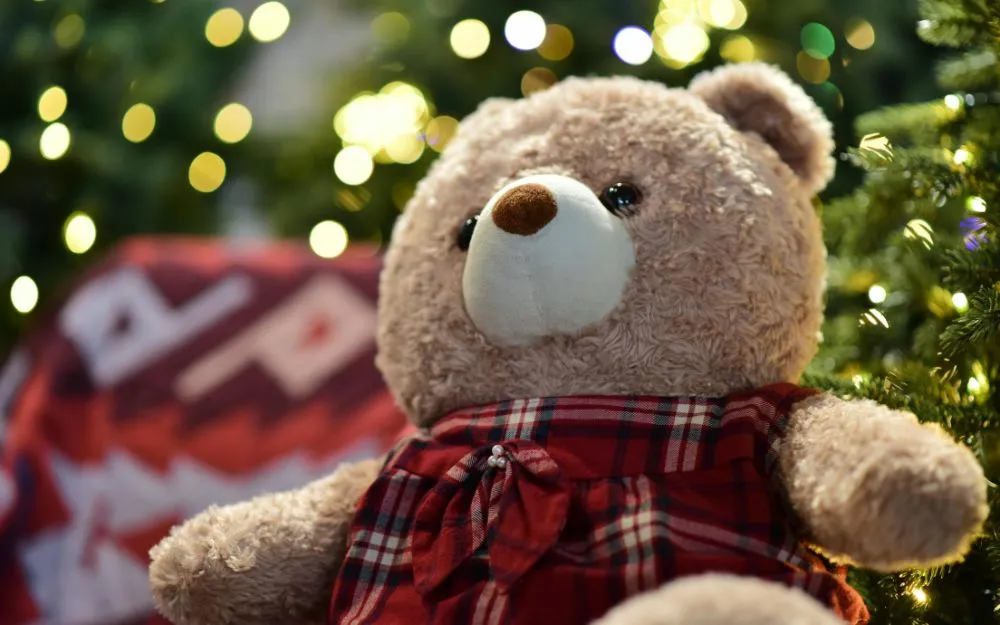 Mới Yêu Nên Tặng Quà Gì Cho Bạn Gái? 25+ Gợi Ý Tinh Tế, Lãng Mạn - 4