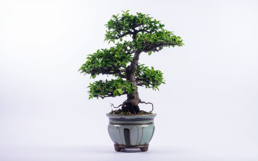 Gợi Ý 20 Món Quà Cuối Năm Tặng Cô Giáo Cực Tinh Tế, Chu Đáo - 6