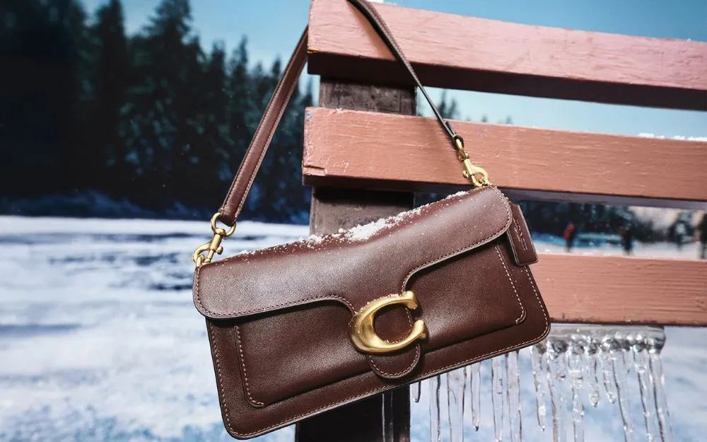 Top 16 Hãng Túi Xách Hàng Hiệu Bình Dân Bền Đẹp, Sang Trọng - 35