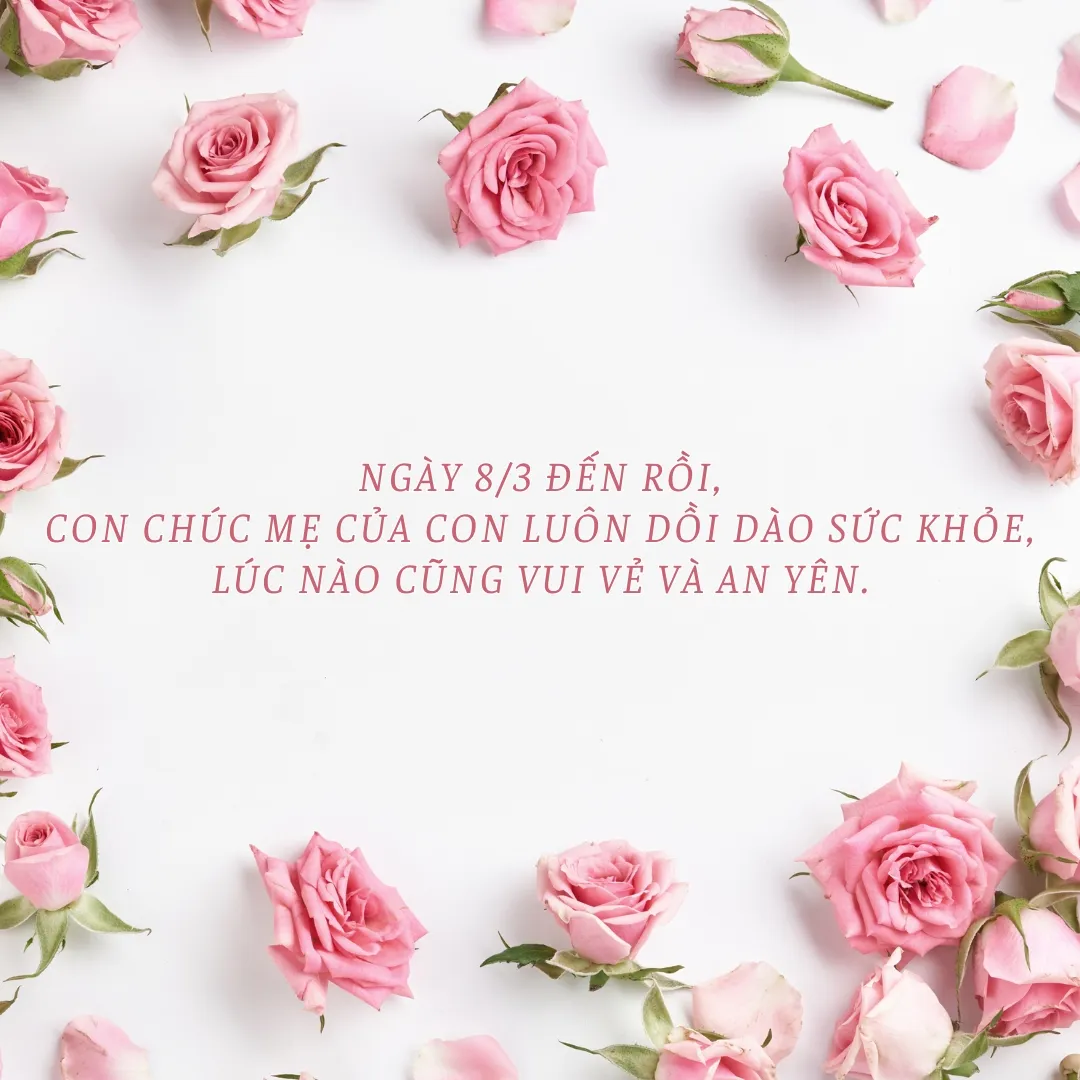 Status, Caption Ý Nghĩa Chúc Mừng Ngày 8/3 Tặng Mẹ