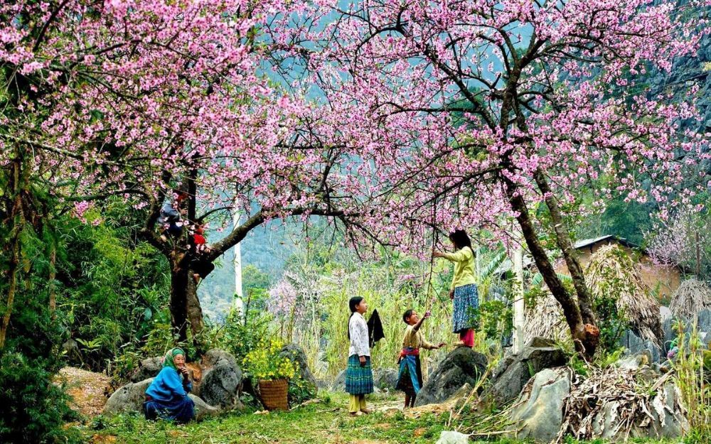 Đi Mộc Châu Mặc Gì Chụp Ảnh Đẹp? Gợi Ý 15+ Outfit Nam Nữ Cực Chill - 27