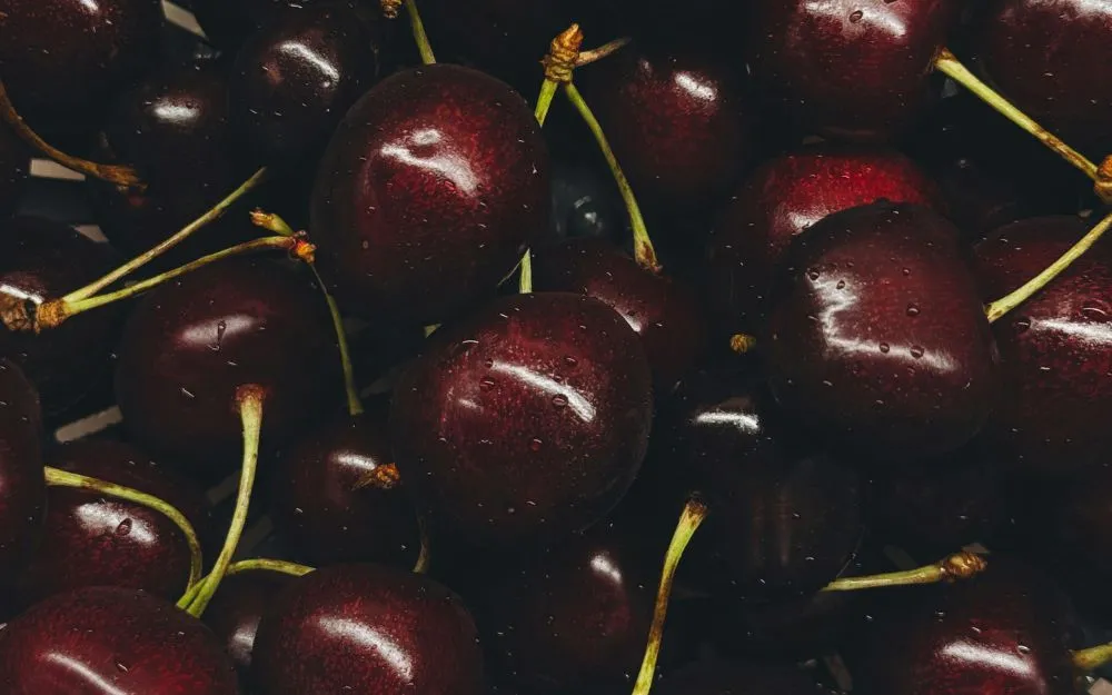 Review Nước Hoa YSL Đỏ Chi Tiết (Black Opium Over Red) - 2