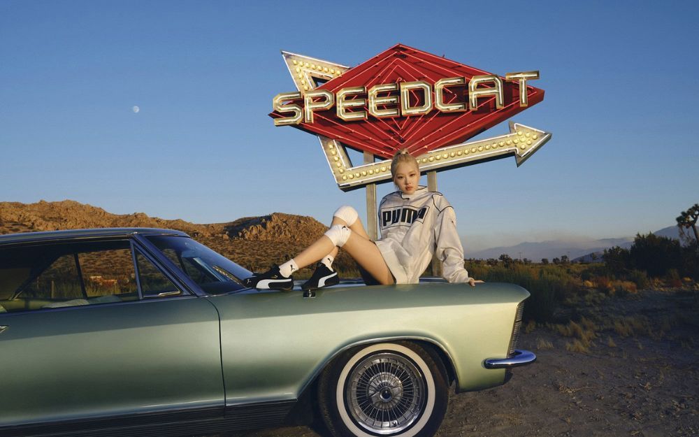 Tổng Quan Về Thương Hiệu Puma: Lịch Sử & Đặc Điểm Nổi Bật - 2