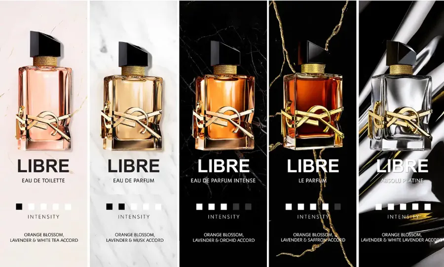 Giới thiệu về dòng nước hoa YSL Libre