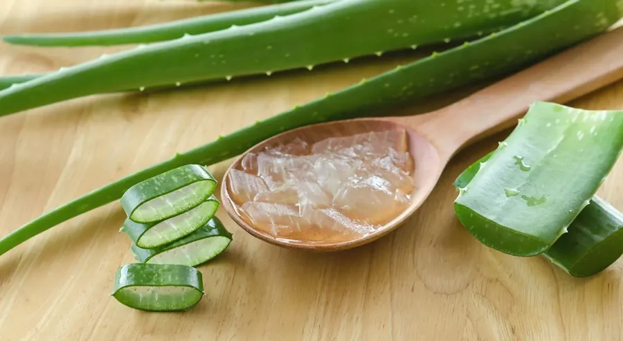 Mặt nạ khổ qua và nha đam làm mát, dịu làn da 