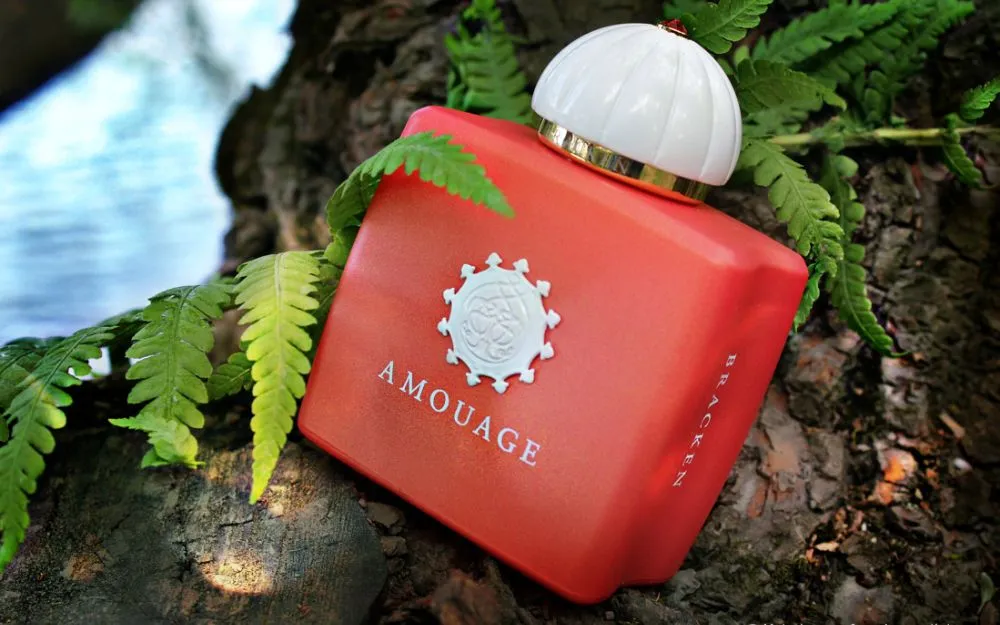 Review 6 Chai Nước Hoa Amouage Bán Chạy, Được Ưa Thích 2026 - 10