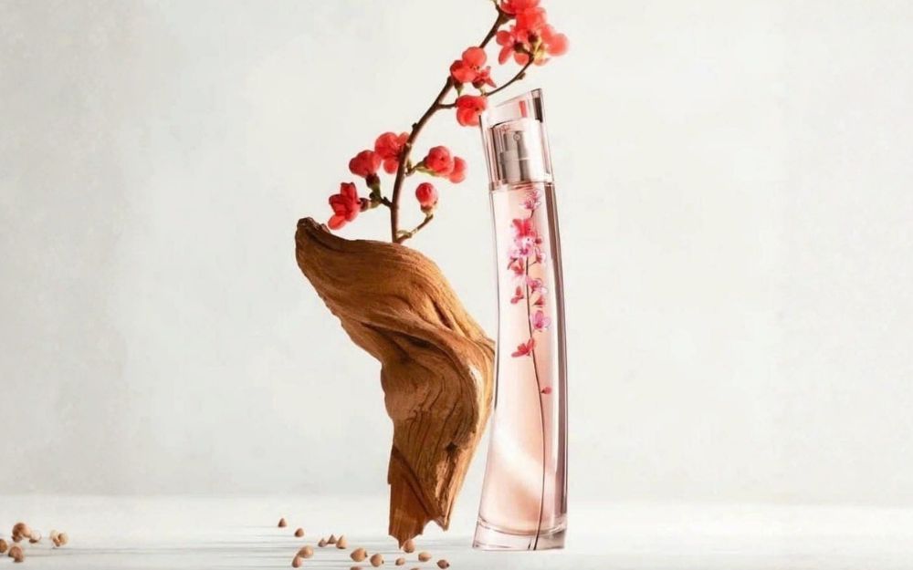 Review 6 Nước Hoa Kenzo Bán Chạy, Mùi Thơm Nổi Trội 2026 - 12