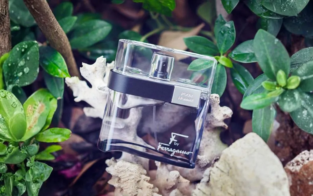Review 9 Nước Hoa Salvatore Ferragamo Bán Chạy, Hot Hit 2026  - 10