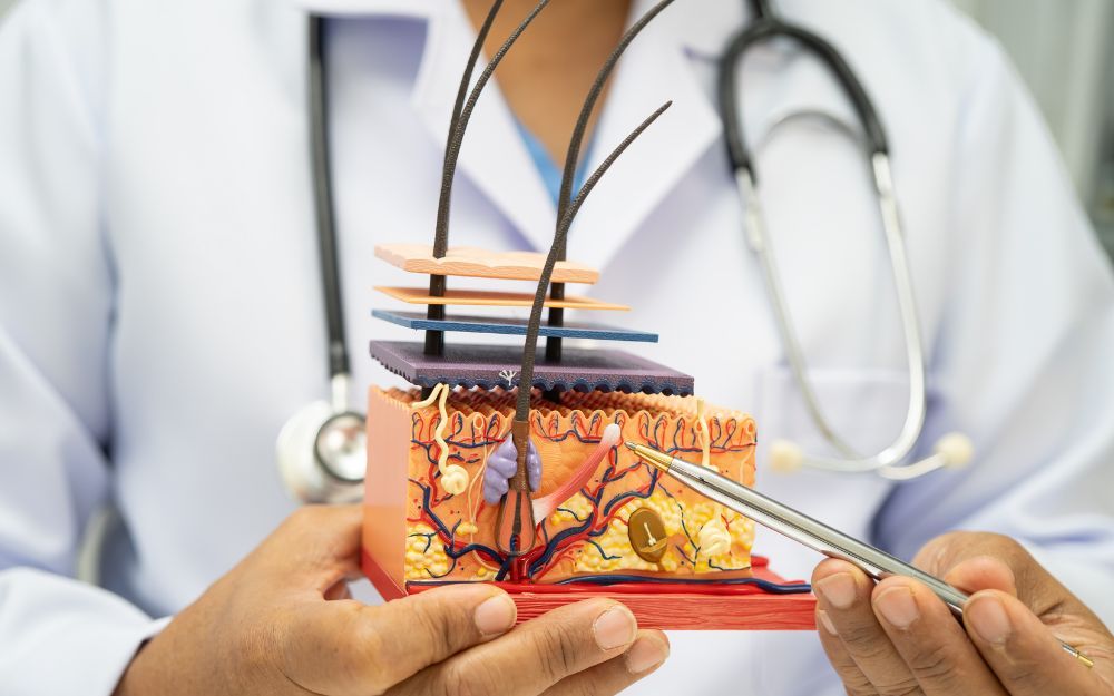 Scalp Hair Là Gì? Những Thuật Ngữ Về Scalp Bạn Nên Biết - 1