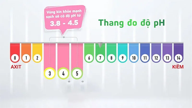 Top 4 Dung Dịch Vệ Sinh Phụ Nữ Femfresh Bán Chạy 2026 - 1