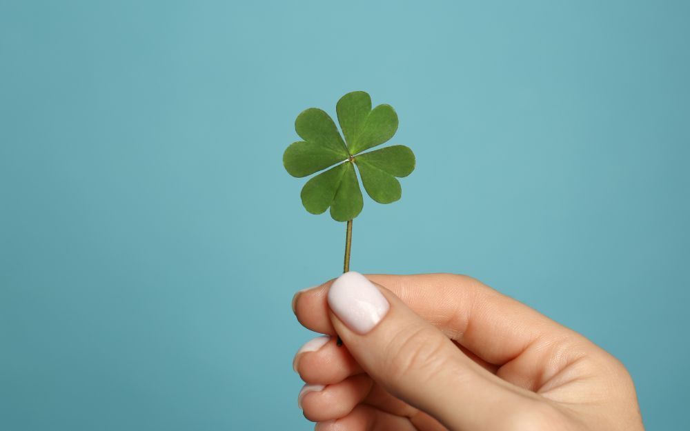 Đi Thi Mặc Gì Cho May Mắn? Gợi Ý 3 Outfits Đi Thi Cho Nam Và Nữ - 6