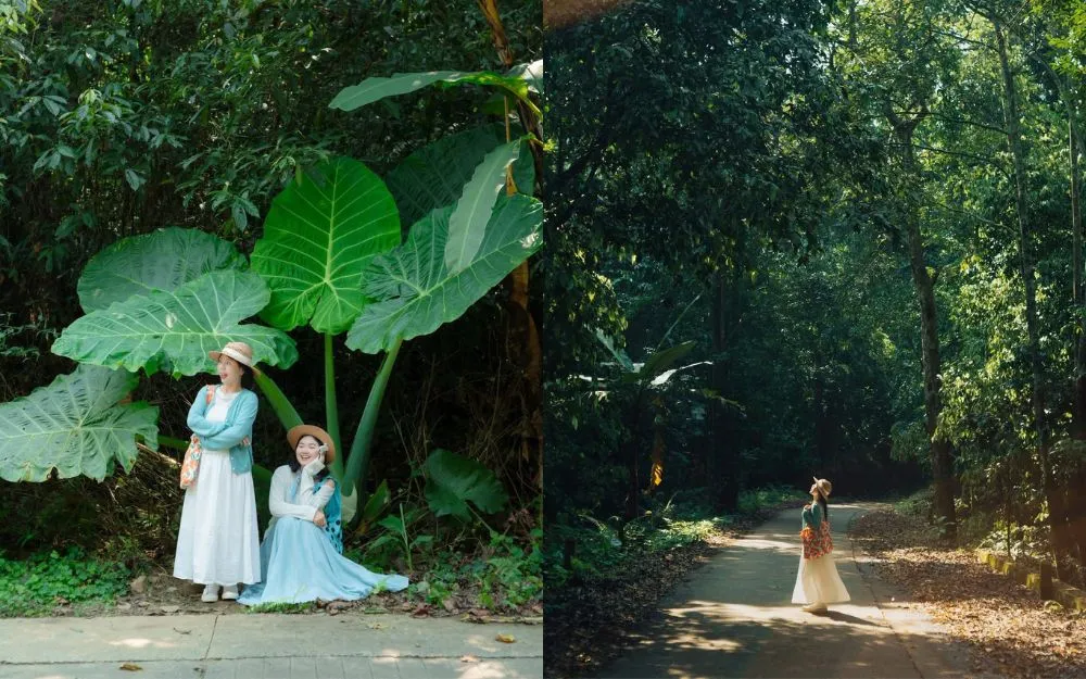 Mặc Gì Đi Rừng Cúc Phương Chụp Ảnh Đẹp? Gợi Ý 15+ Outfits Phù Hợp - 12