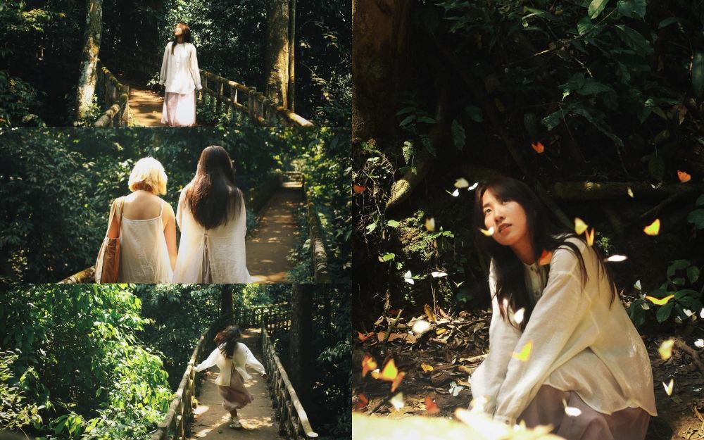 Mặc Gì Đi Rừng Cúc Phương Chụp Ảnh Đẹp? Gợi Ý 15+ Outfits Phù Hợp - 1