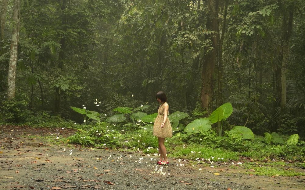 Mặc Gì Đi Rừng Cúc Phương Chụp Ảnh Đẹp? Gợi Ý 15+ Outfits Phù Hợp - 7