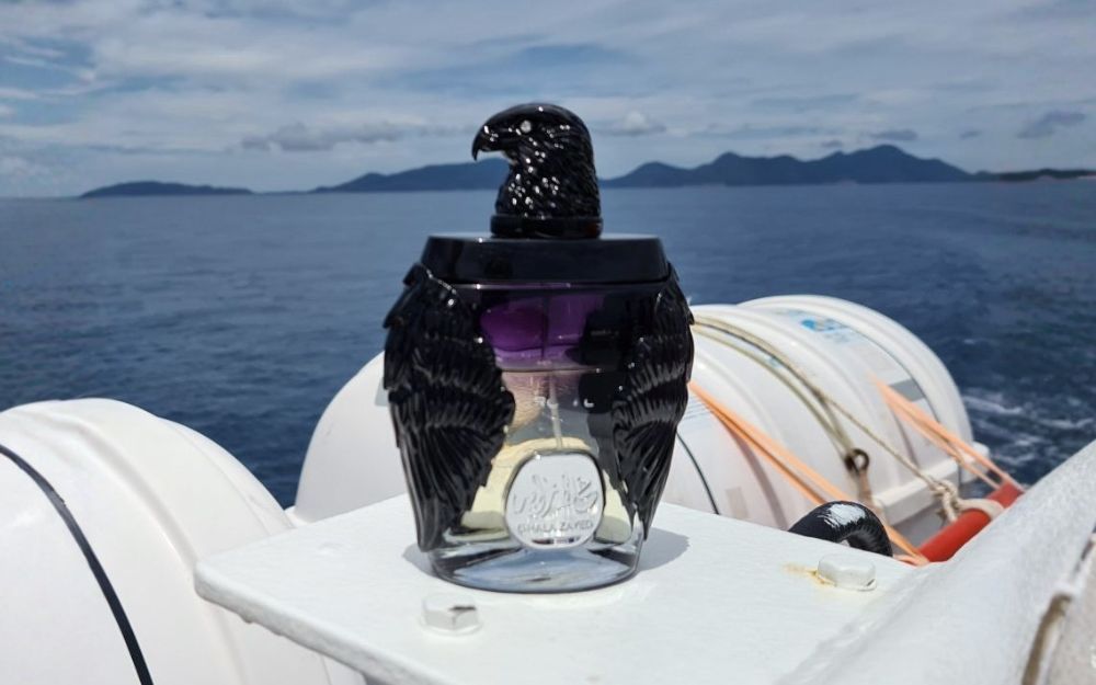 Review 5 Nước Hoa Đại Bàng Ghala Zayed Bán Chạy Năm 2026 - 5