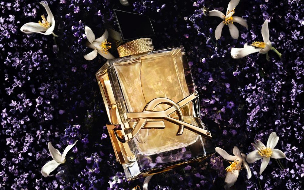 Review 8 Nước Hoa YSL Nữ Bán Chạy, Thơm Lâu Quyến Rũ 2026 - 2