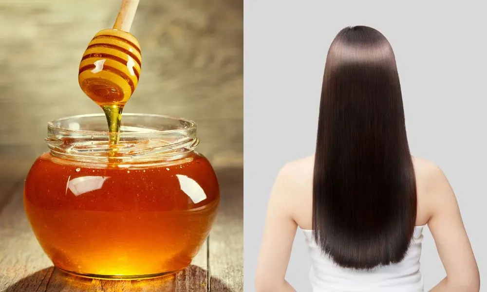 8 Cách phục hồi tóc khô xơ tại nhà đơn giản, mềm mượt - 7