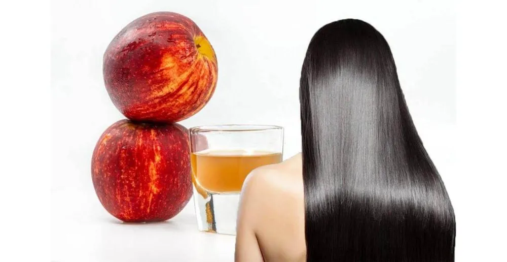 8 Cách phục hồi tóc khô xơ tại nhà đơn giản, mềm mượt - 10
