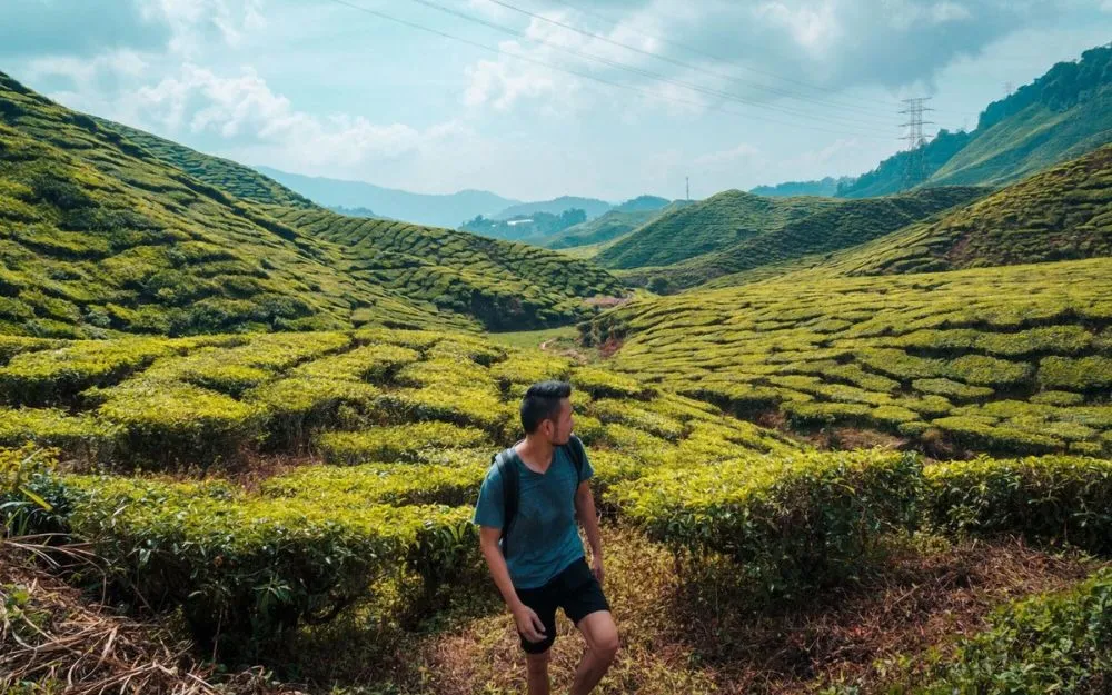 Đi Malaysia Mặc Gì? Gợi Ý Lên Đồ Du Lịch Mặc Đẹp, Hợp Văn Hóa - 18