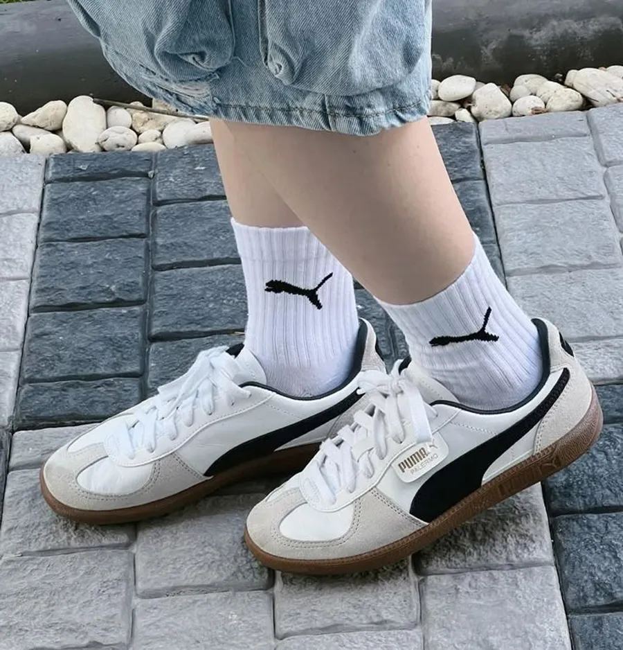 Puma 