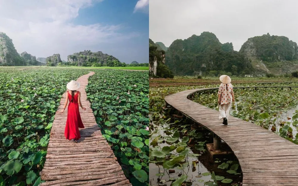 Đi Chụp Sen Mặc Gì? Top 10+ Trang Phục Lên Hình Lung Linh 2026 - 11
