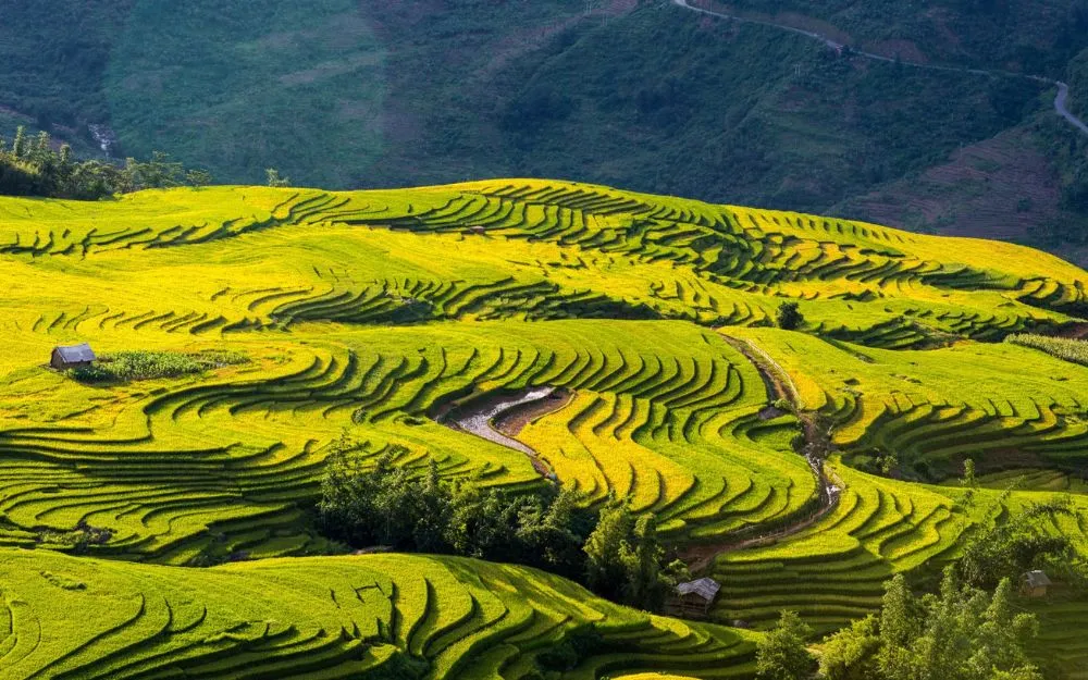 Đi Y Tý Mặc Gì? Bí Kíp Chuẩn Bị Trang Phục Săn Mây, Săn Lúa Chín - 1