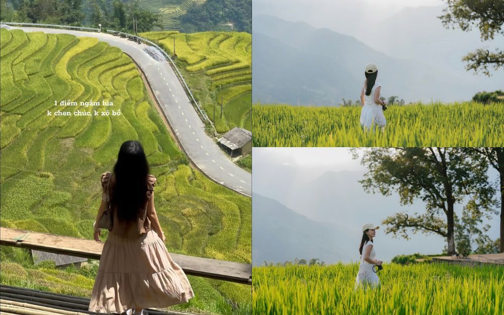 Đi Y Tý Mặc Gì? Bí Kíp Chuẩn Bị Trang Phục Săn Mây, Săn Lúa Chín - 3