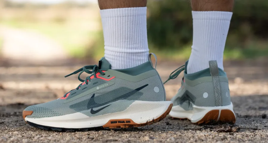 Nike Pegasus Trail 5 GORE-TEX