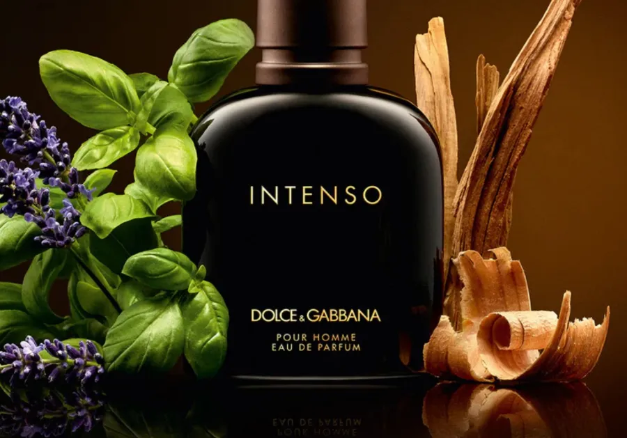 Dolce & Gabbana Pour Homme Intenso