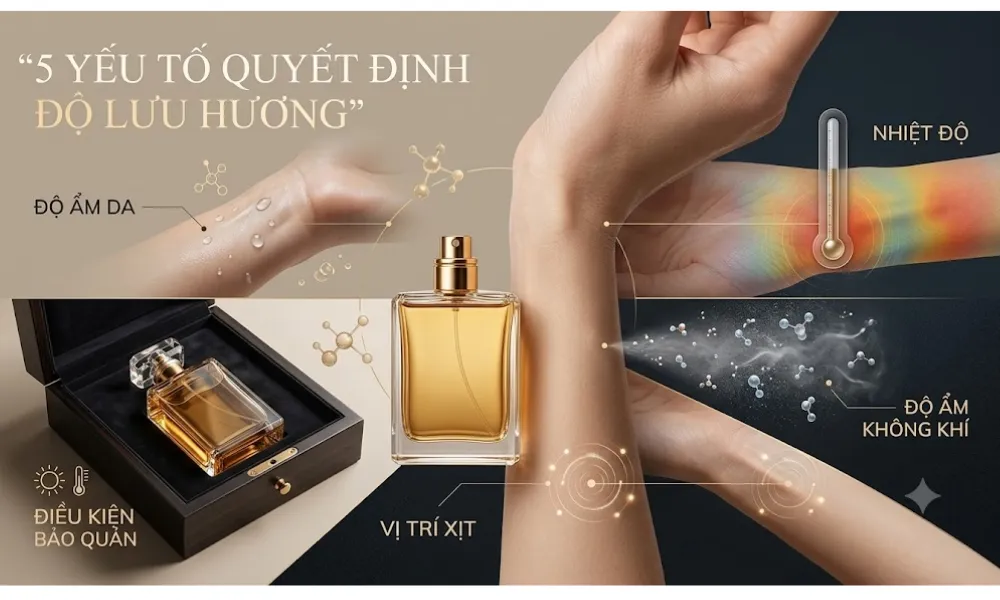 Nước Hoa Lưu Hương 24H Có Thật Không? Sự Thật Ít Người Biết - 4