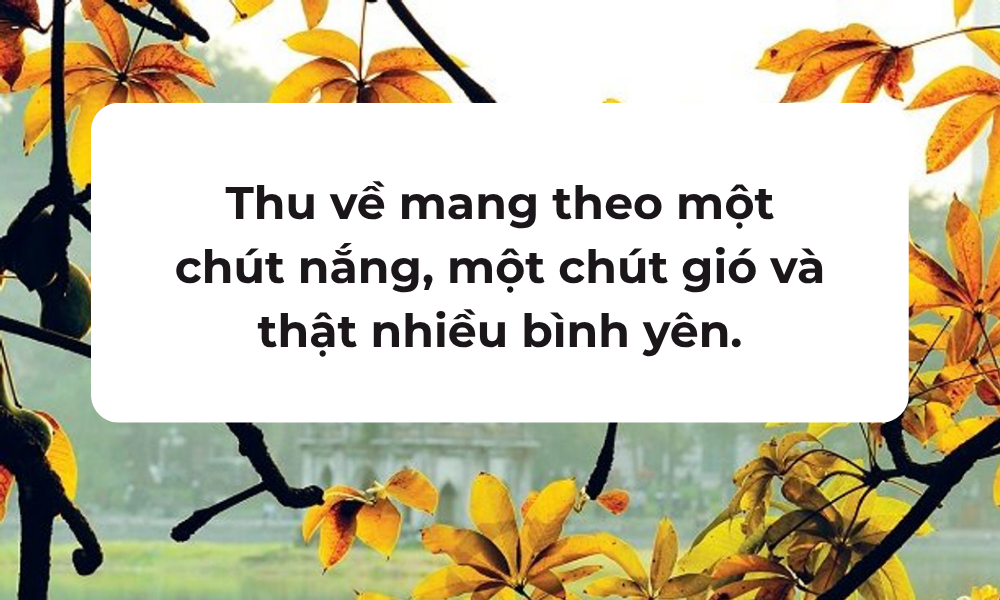 500+ STT/Caption Mùa Thu Hay, Lãng Mạn Và Chill - 1