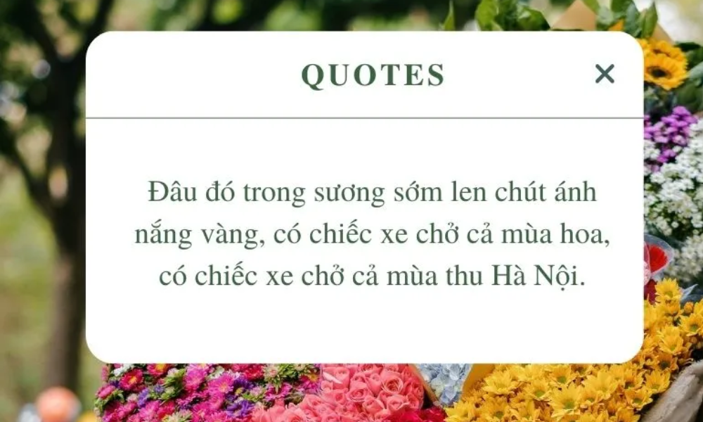 500+ STT/Caption Mùa Thu Hay, Lãng Mạn Và Chill - 4
