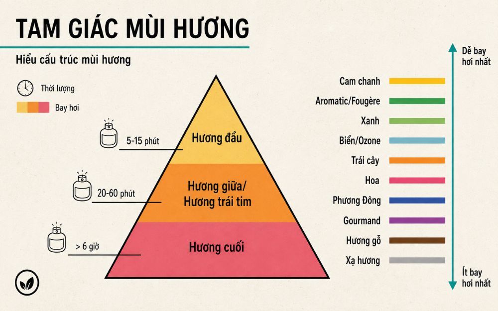 Vì Sao Cùng Một Chai Nước Hoa Mà Mùi Khác Nhau? 5 Lý Do Ít Ai Biết - 1