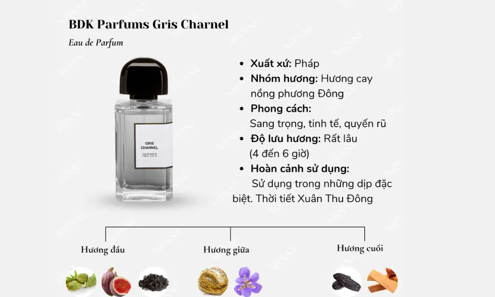 BDK Parfums Gris Charnel Review: Có Đáng Mua Không? - 3
