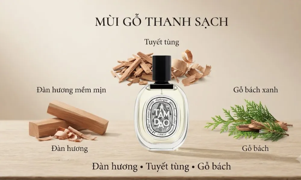 Diptyque Tam Dao mùi gì? Hương gỗ thanh lịch có dễ dùng không? - 2