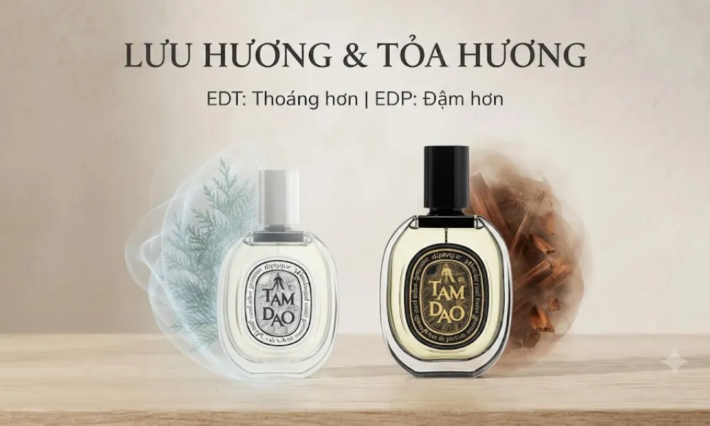 Diptyque Tam Dao mùi gì? Hương gỗ thanh lịch có dễ dùng không? - 4