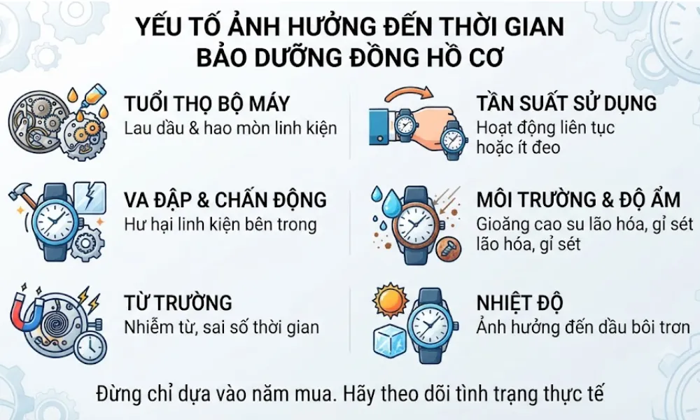 Bao lâu nên bảo dưỡng đồng hồ cơ? Mốc thời gian chuẩn - 1