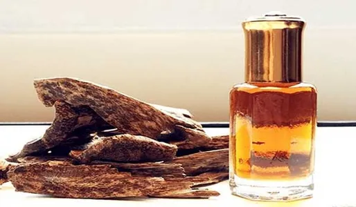 top-10-chai-nuoc-hoa-woody-tong-mui-go-am-nong-quyen-ru