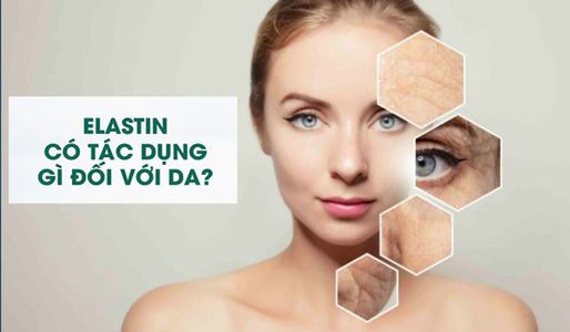 elastin-la-gi-huong-dan-cach-bo-sung-elastin-cho-lan-da-dung-cach