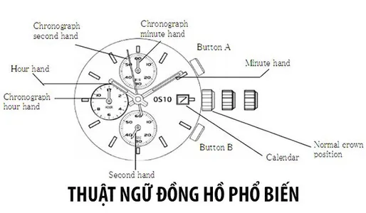 top-55-thuat-ngu-dong-ho-chuyen-nganh-thuong-gap-ban-nen-biet