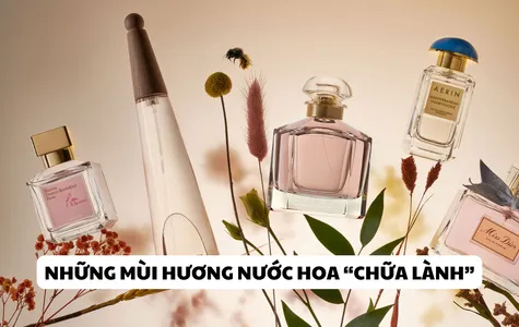 Top 10+ Mùi Hương Nước Hoa Chữa Lành Cho Tâm Hồn Và Cảm Xúc