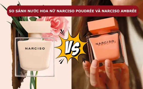 so-sanh-nuoc-hoa-nu-Narciso-Poudree-va-Ambree