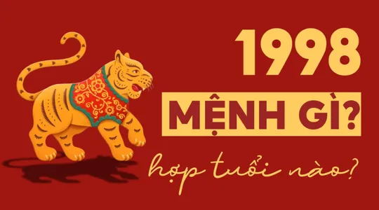 sinh-nam-1998-menh-gi