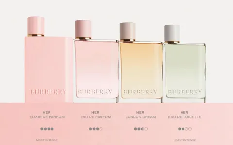 Review 6 Nước Hoa Burberry Her Thơm Lâu, Bán Chạy Hiện Nay