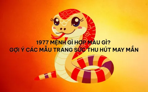 1977-menh-gi-hop-mau-gi